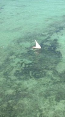 Tanzanya 'nın Zanzibar kıyısındaki okyanusta dikey video tekneleri