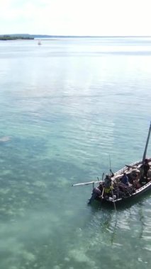 Tanzanya 'nın Zanzibar kıyısındaki okyanusta dikey video tekneleri