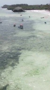Tanzanya 'nın Zanzibar kıyısındaki okyanusta dikey video tekneleri
