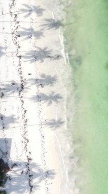 Tanzanya 'nın Zanzibar kıyısındaki okyanusta dikey video tekneleri