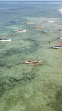 Tanzanya 'nın Zanzibar kıyısındaki okyanusta dikey video tekneleri