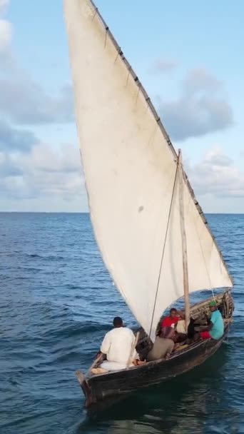 Κάθετες βιντεοβάρκες στον ωκεανό κοντά στις ακτές της Ζανζιβάρης, Τανζανία — Αρχείο Βίντεο