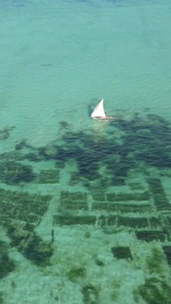 Bateaux vidéo verticaux dans l'océan près de la côte de Zanzibar, Tanzanie — Video