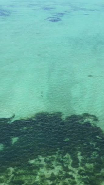 Vertikala videobåtar i havet nära kusten i Zanzibar, Tanzania — Stockvideo