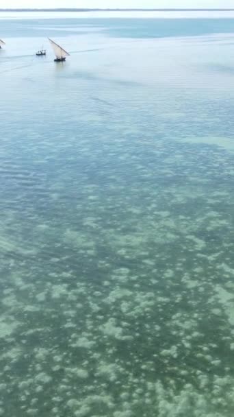 Bateaux vidéo verticaux dans l'océan près de la côte de Zanzibar, Tanzanie — Video