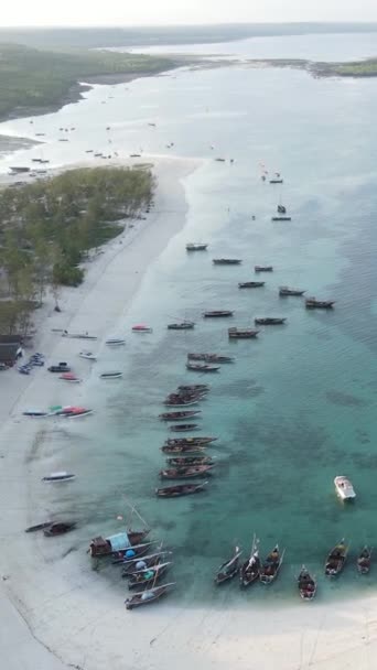 Video barche verticali nell'oceano vicino alla costa di Zanzibar, Tanzania — Video Stock