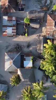 Zanzibar, Tanzanya - sahile yakın evlerin havadan görünüşü, dikey video