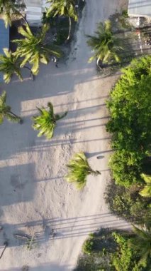 Zanzibar, Tanzanya - sahile yakın evlerin havadan görünüşü, dikey video