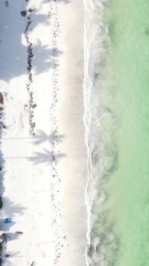 Tanzanya 'nın Zanzibar kıyısındaki okyanusun dikey videosu