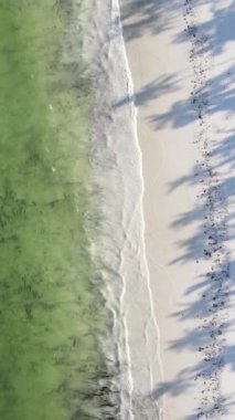 Tanzanya 'nın Zanzibar kıyısındaki okyanusun dikey videosu