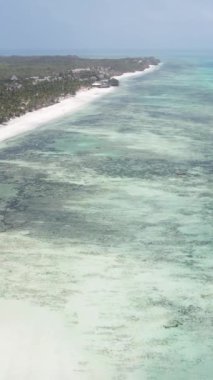 Tanzanya 'nın Zanzibar kıyısındaki okyanusun dikey videosu