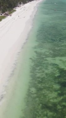 Tanzanya 'nın Zanzibar kıyısındaki okyanusun dikey videosu
