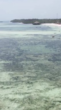 Tanzanya 'nın Zanzibar kıyısındaki okyanusun dikey videosu