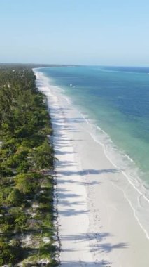 Tanzanya 'nın Zanzibar kıyısındaki okyanusun dikey videosu
