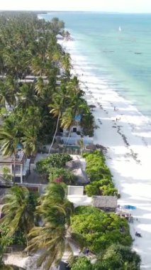 Tanzanya 'nın Zanzibar kıyısındaki okyanusun dikey videosu