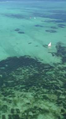 Tanzanya 'nın Zanzibar kıyısındaki okyanusun dikey videosu