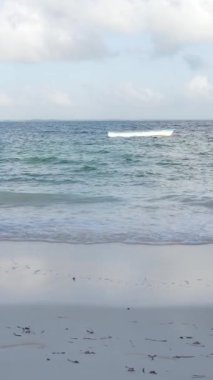 Tanzanya 'nın Zanzibar kıyısındaki okyanusun dikey videosu
