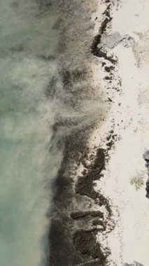 Tanzanya 'nın Zanzibar kıyısındaki okyanusun dikey videosu