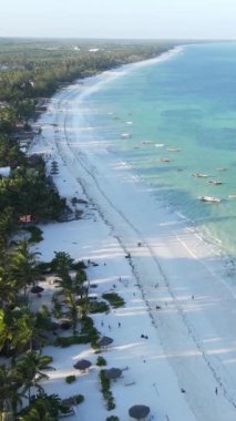 Tanzanya 'nın Zanzibar kıyısındaki okyanusun dikey videosu