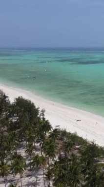 Tanzanya 'nın Zanzibar kıyısındaki okyanusun dikey videosu