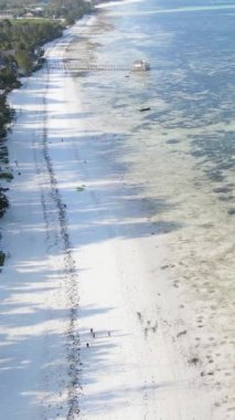 Tanzanya 'nın Zanzibar kıyısındaki okyanusun dikey videosu
