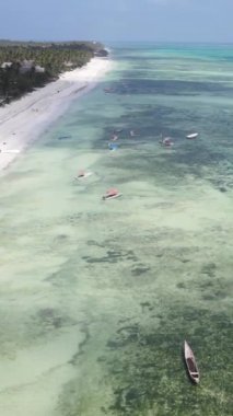 Tanzanya 'nın Zanzibar kıyısındaki okyanusun dikey videosu