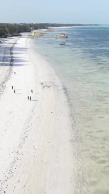 Tanzanya 'nın Zanzibar kıyısındaki okyanusun dikey videosu