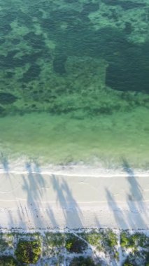 Tanzanya 'nın Zanzibar kıyısındaki okyanusun dikey videosu