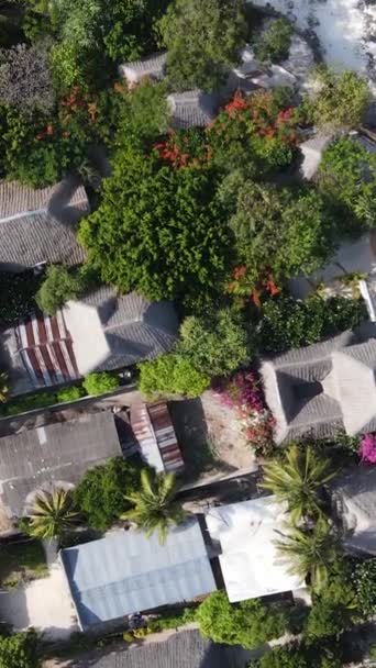 Zanzibar, Tanzânia - vista aérea de casas perto da costa, vídeo vertical — Vídeo de Stock