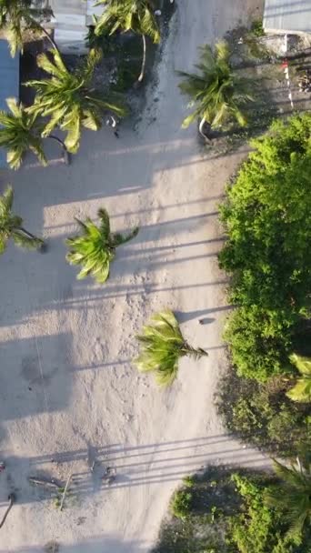 Zanzibar, Tanzania pemandangan udara rumah-rumah di dekat pantai, video vertikal — Stok Video