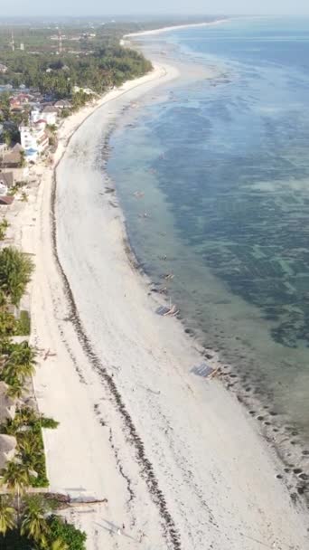 Verticale video van de oceaan bij de kust van Zanzibar, Tanzania — Stockvideo