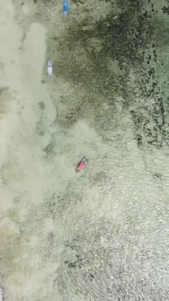 Függőleges videó az óceánról Zanzibár partjainál, Tanzániában — Stock videók