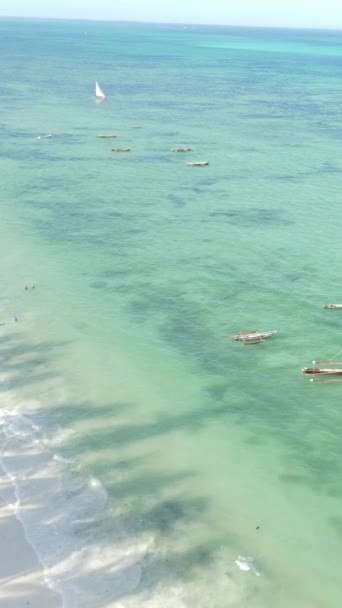 Tanzanya 'nın Zanzibar kıyısındaki okyanusun dikey videosu — Stok video