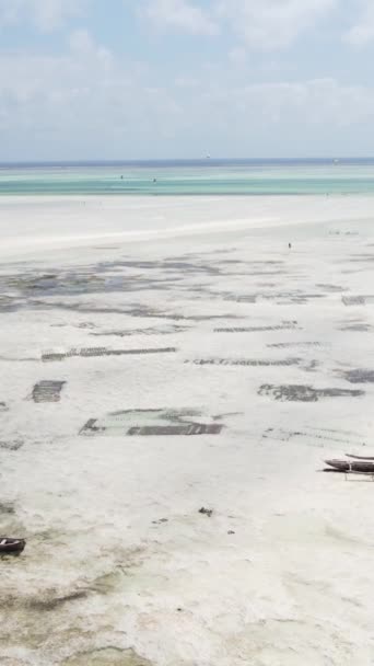 Vídeo vertical del océano cerca de la costa de Zanzíbar, Tanzania — Vídeos de Stock