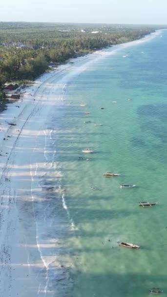 Vertical video of the ocean near the coast of Zanzibar, Tanzania — Stock Video