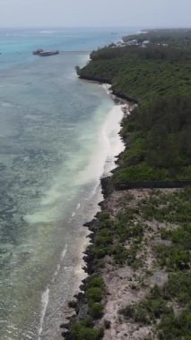 Tanzanya 'nın Zanzibar kıyısındaki okyanusun dikey videosu