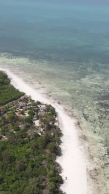 Tanzanya 'nın Zanzibar kıyısındaki okyanusun dikey videosu