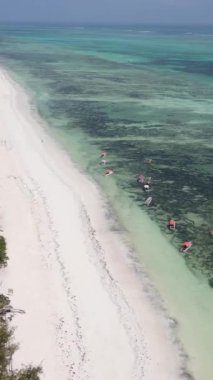 Tanzanya 'nın Zanzibar kıyısındaki okyanusun dikey videosu
