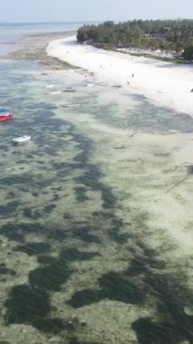Tanzanya 'nın Zanzibar kıyısındaki okyanusun dikey videosu