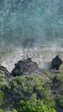 Tanzanya 'nın Zanzibar kıyısındaki okyanusun dikey videosu