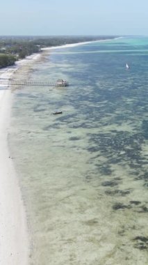 Tanzanya 'nın Zanzibar kıyısındaki okyanusun dikey videosu