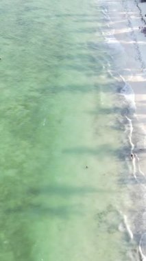Tanzanya 'nın Zanzibar kıyısındaki okyanusun dikey videosu
