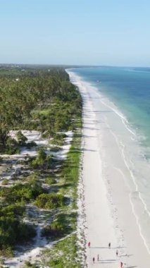 Tanzanya 'nın Zanzibar kıyısındaki okyanusun dikey videosu