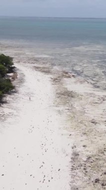 Tanzanya 'nın Zanzibar kıyısındaki okyanusun dikey videosu
