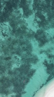 Tanzanya 'nın Zanzibar kıyısındaki okyanusun dikey videosu