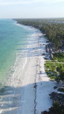 Tanzanya 'nın Zanzibar kıyısındaki okyanusun dikey videosu