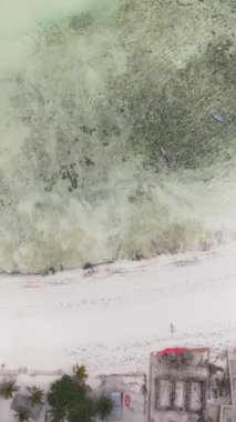 Tanzanya 'nın Zanzibar kıyısındaki okyanusun dikey videosu