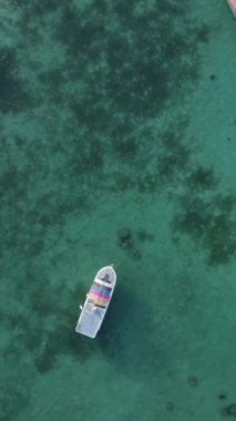 Tanzanya 'nın Zanzibar kıyısındaki okyanusun dikey videosu