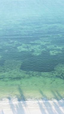 Tanzanya 'nın Zanzibar kıyısındaki okyanusun dikey videosu