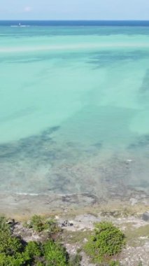 Tanzanya 'nın Zanzibar kıyısındaki okyanusun dikey videosu